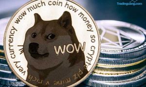 Coinbase Mulai Transaksikan Dogecoin