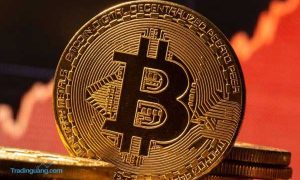 Taproot, Si Penghadang Etherum yang Aktif di November Mendatang