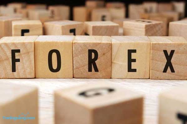 4 Manfaat Singnal Forex bagi Trader Pemula