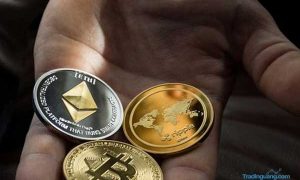 Panduan Penting Memahami Seluk Beluk Trading Crypto