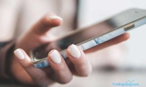 Apa Perbedaan Antara Holochain dan Blockchain?