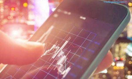 Ramai Kasus Sunton Capital Diduga Scam, Ini Penjelasan SWI dan Bappepti