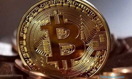 Sam Bankman-Fried, Miliki Harta Rp 320 Triliun dari Kripto