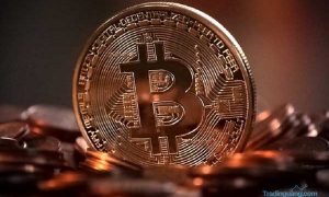 Curi Listrik Hingga Miliaran, Tambang Bitcoin Kembali Digrebek