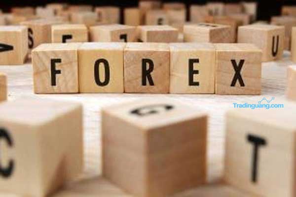 Broker Forex ECN atau STP, Mana yang Lebih Baik untuk Trading?