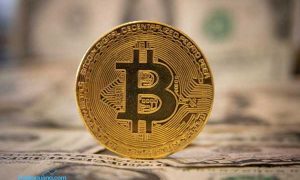 Inilah Panduan Menghindari Skema Pump And Dump Pada Aset Kripto