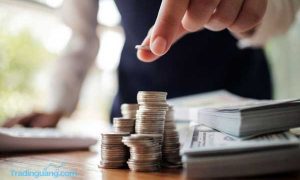 Pengertian Expense Ratio Pada Investasi Reksa Dana