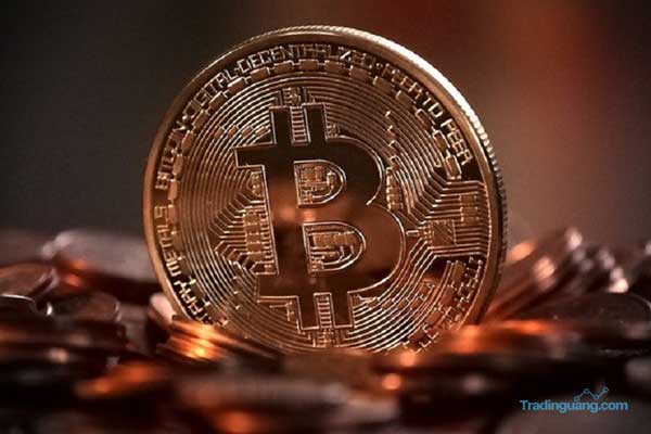 Goldman Sachs Prediksi Harga Bitcoin Akan Merosot Tajam