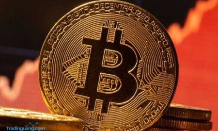 Apa yang Dimaksud dengan Portofolio Cryptocurrency?