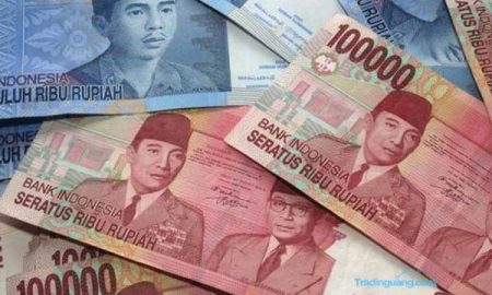 Rupiah Digital Bank Indonesia dan Proyek Garuda