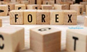 Memahami Peran Penting Stop Level Broker Forex