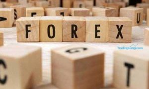 7 Faktor Penting dalam Menentukan Kualitas Broker Forex