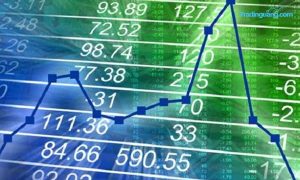 Benarkah Pemilik Uang yang Menguasai Market Forex?