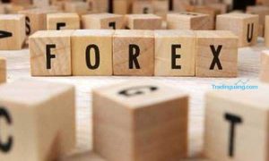 Pengoptimalan Leverage pada Broker Spread Rendah untuk Profit Fantastis