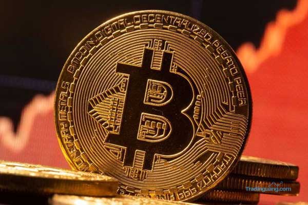Bitcoin Halving 2024 dan Perkiraan Masa Depan Aset Kripto