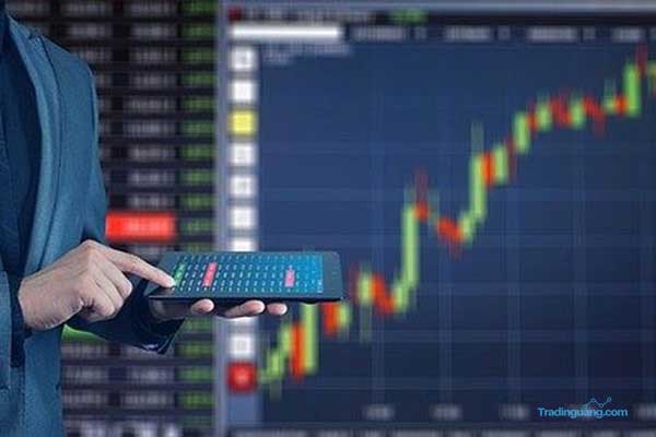 Backtest Otomatis Forex dan Manfaatnya Bagi Trader