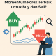 Bagaimana Cara Mengidentifikasi Momentum Forex Terbaik untuk Buy dan Sell?