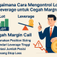 Bagaimana Cara Mengontrol Lot dan Leverage untuk Cegah Margin Call?