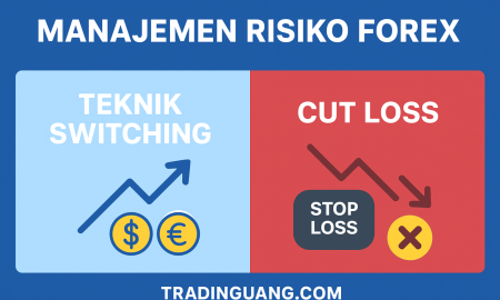 Manajemen Risiko Forex: Teknik Switching vs Cut Loss, Mana yang Lebih Efektif?