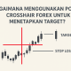 Bagaimana Menggunakan Pola Crosshair Forex untuk Menetapkan Target?
