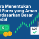 Bagaimana Cara Menentukan Lot Forex yang Aman Berdasarkan Besar Modal?