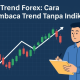 Bisakah Membaca Trend Forex Tanpa Indikator?