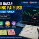 Strategi Forex: Teknik Dasar Trading Currency Pair USD untuk Trader Pemula