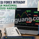 Strategi Forex Intraday dengan Maksimal Dua Posisi Harian