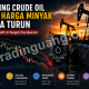 Trading Crude Oil saat Harga Minyak Dunia Turun
