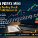 Akun Forex Mini: Strategi Trading Stabil untuk Profit Konsisten