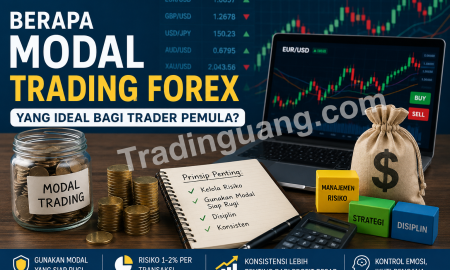 Berapa Modal Trading Forex yang Ideal bagi Trader Pemula?