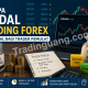 Berapa Modal Trading Forex yang Ideal bagi Trader Pemula?
