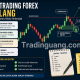Setup Trading Forex Berulang untuk Entry Lebih Konsisten