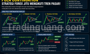 Strategi Forex Terbaik untuk Trading Berdasarkan Pola Continuation